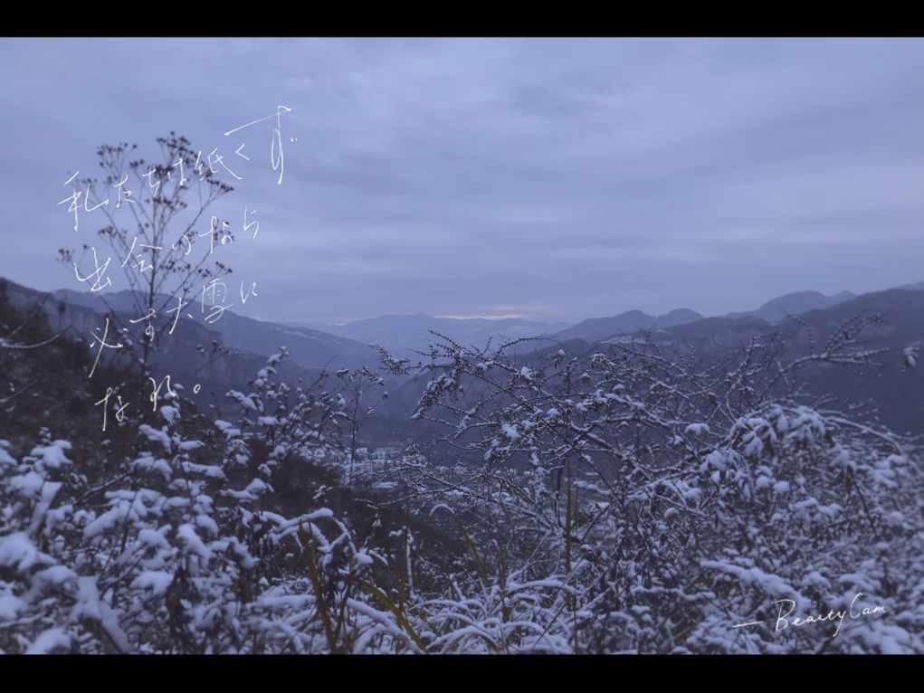李德生之子，对越反击战时，被敌人包围，危急时刻大喊：向我开炮